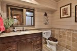 Basement Bathroom W/ Walk In Shower